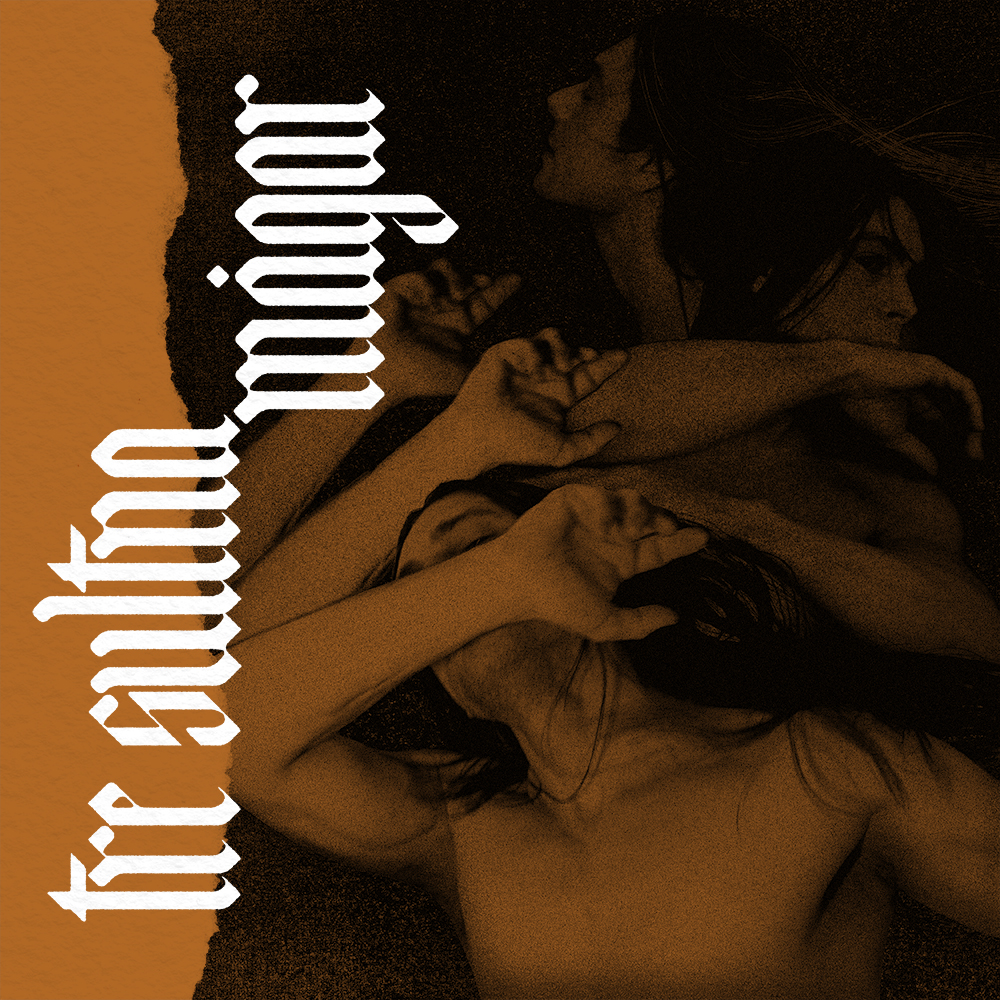 Tre sultna mågar omslag